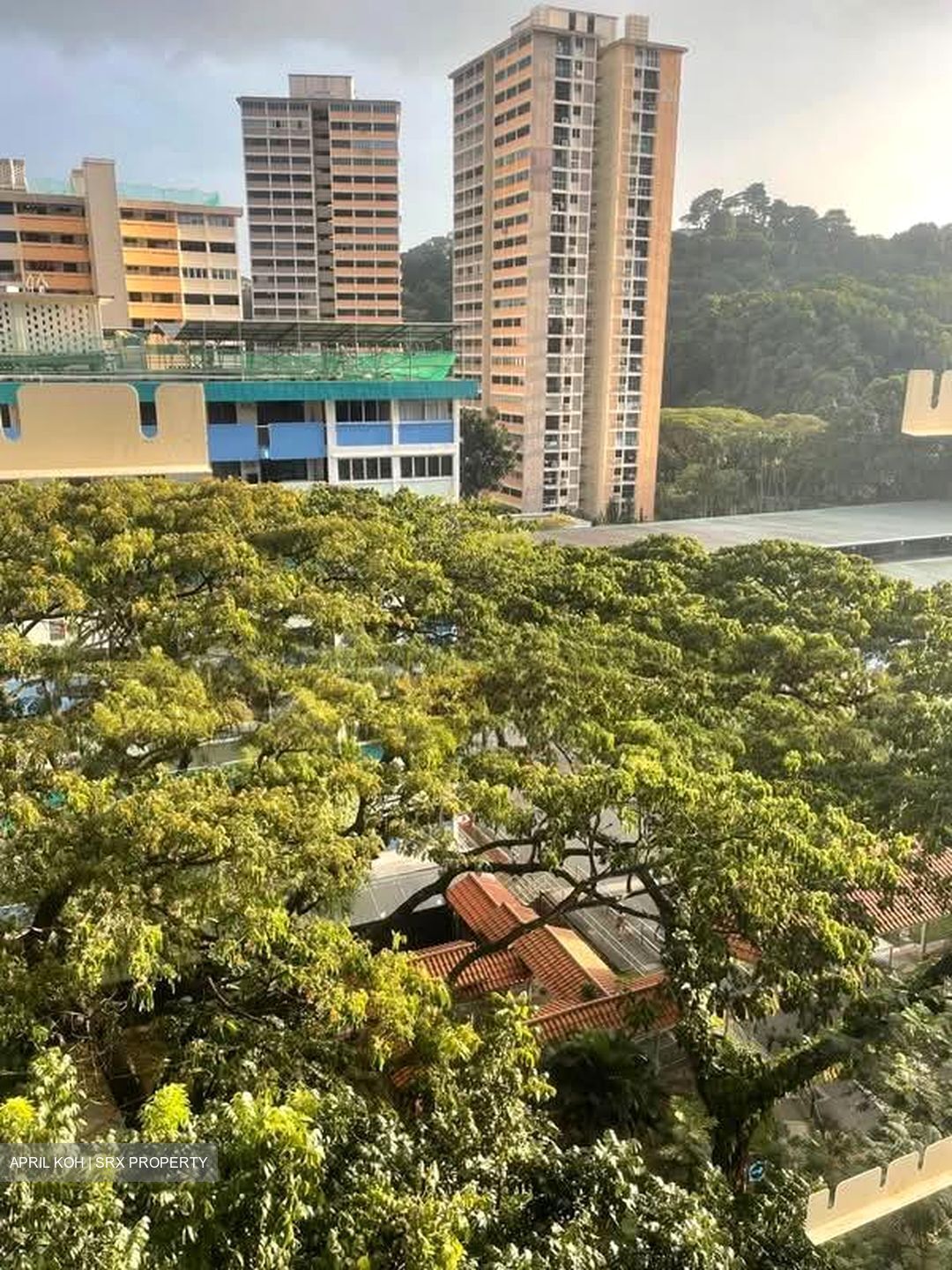 Telok Blangah Crescent (Bukit Merah),  #591430911